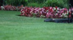 resIMG_20170709_224232_8202.JPG